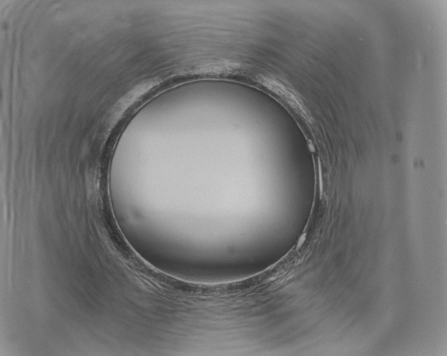 X0000072950483200608111629