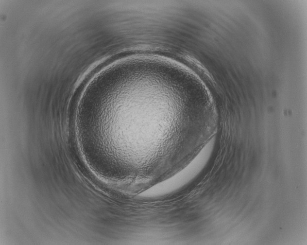 X0000072950484200608111629