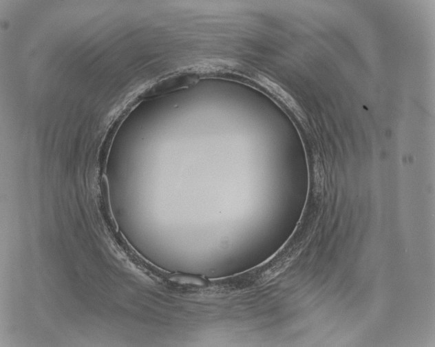 X0000072950485200608111629