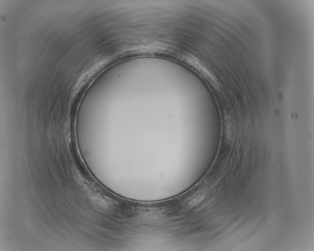 X0000072950486200608111629