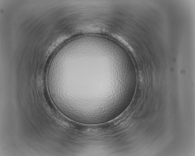 X0000072950487200608111629