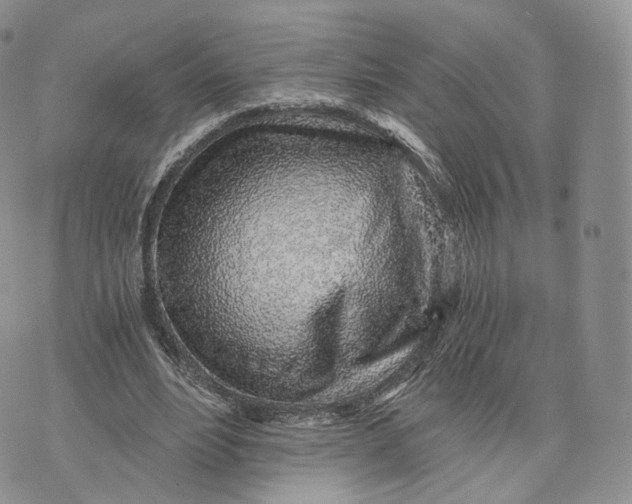 X0000072950488200608111629