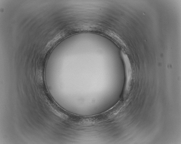 X0000072950489200608111629