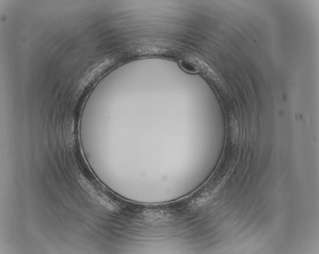 X0000072950490200608111629