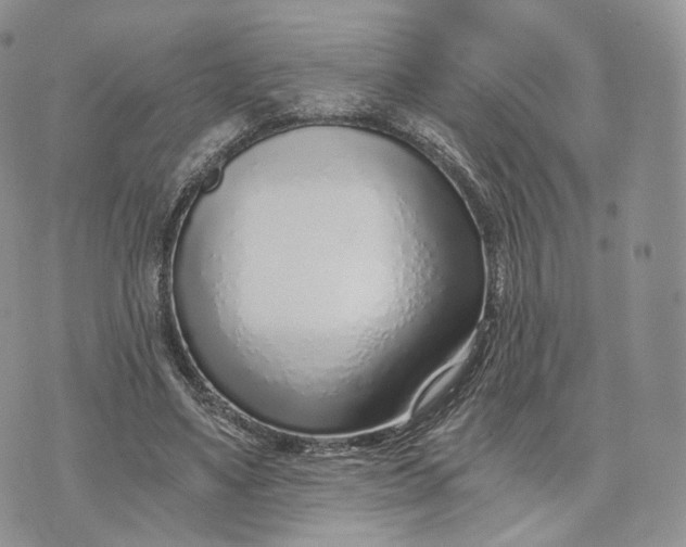 X0000072950491200608111629