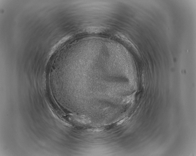 X0000072950492200608111629