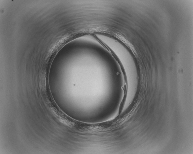 X0000072950493200608111629