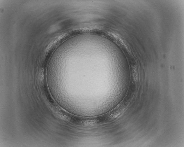 X0000072950495200608111629