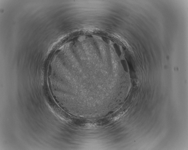 X0000072950496200608111629