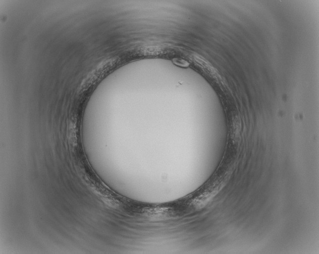 X0000072950497200608111629