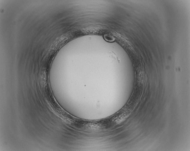 X0000072950498200608111629