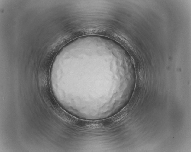 X0000072950499200608111629