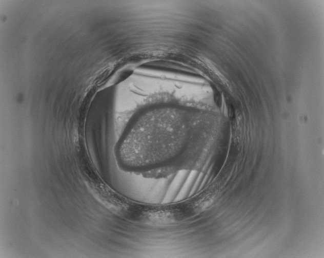 X0000072950500200608111629