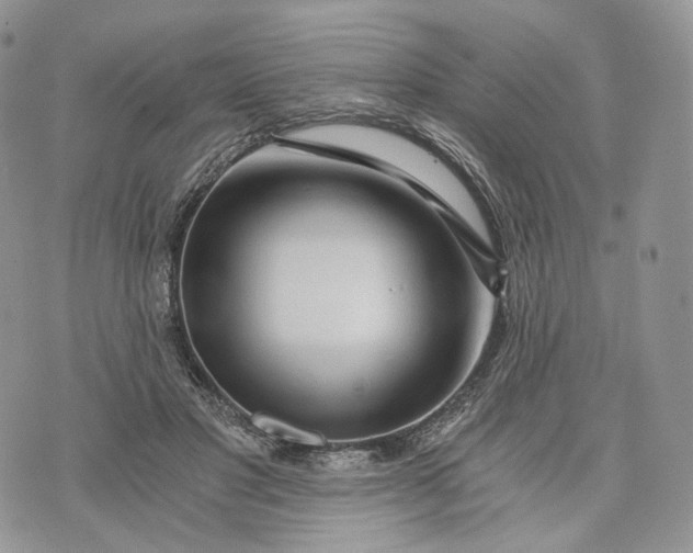 X0000072950501200608111629