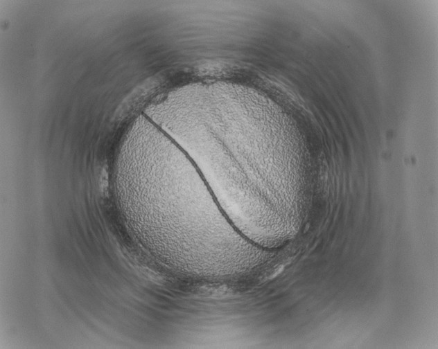 X0000072950502200608111629