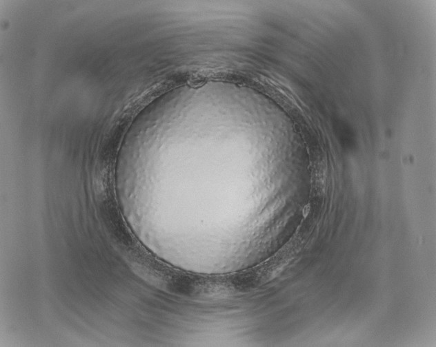 X0000072950503200608111629