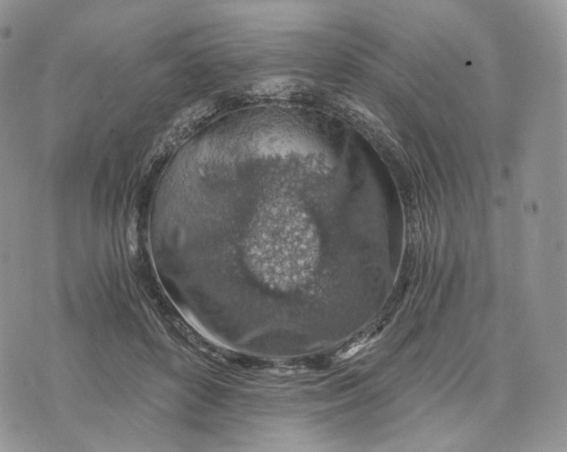 X0000072950504200608111629