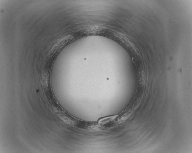 X0000072950505200608111629