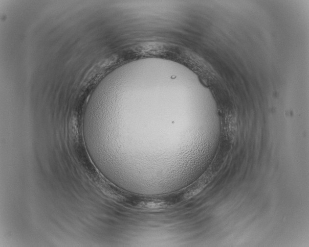 X0000072950506200608111629