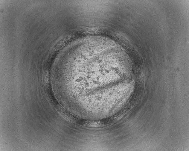 X0000072950507200608111629