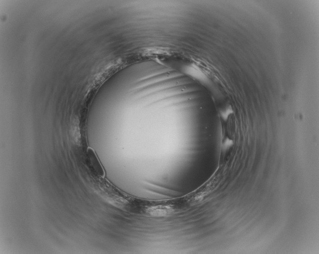 X0000072950508200608111629