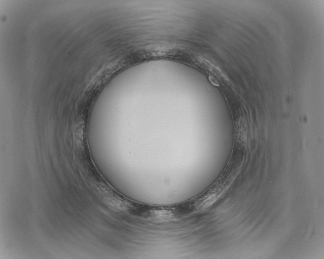 X0000072950509200608111629