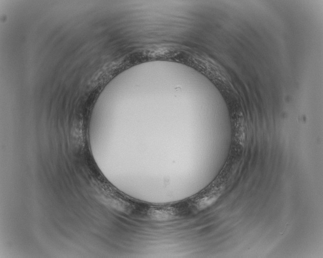 X0000072950510200608111629