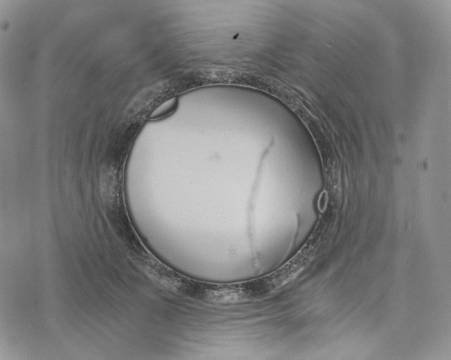 X0000072950511200608111629