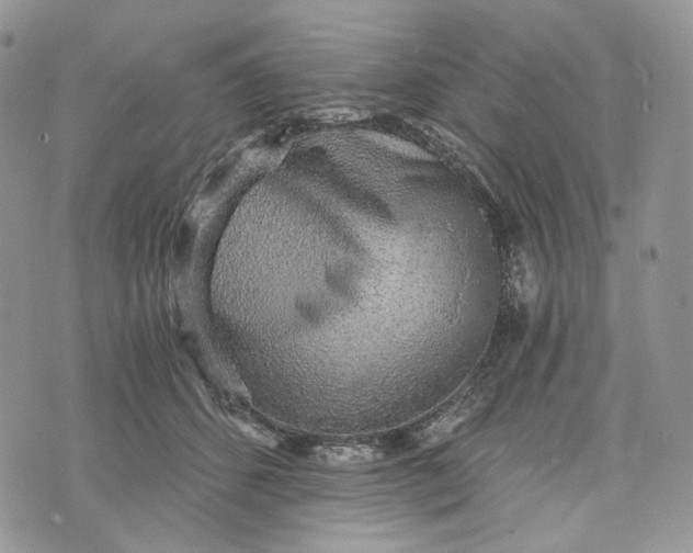 X0000072950512200608111629