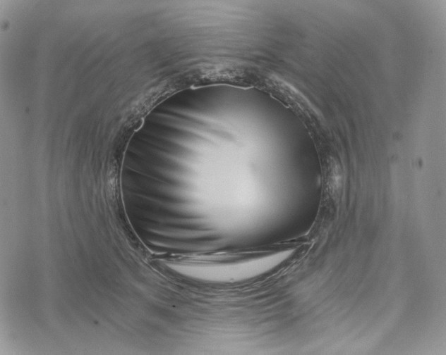 X0000072950513200608111629