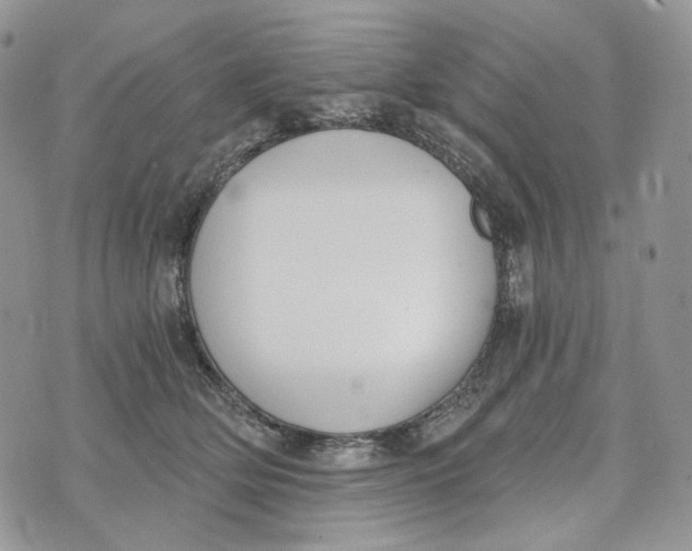 X0000072950514200608111629