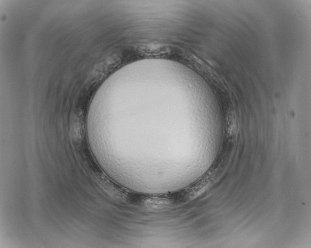 X0000072950515200608111629