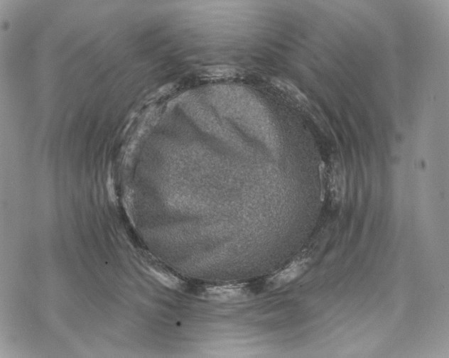 X0000072950516200608111629