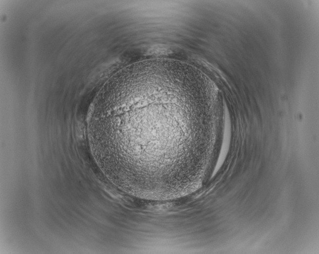 X0000072950517200608111629