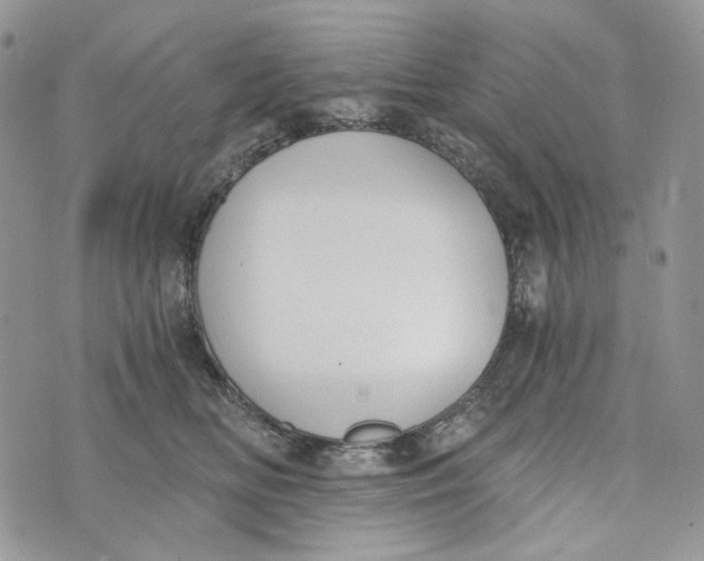 X0000072950518200608111629