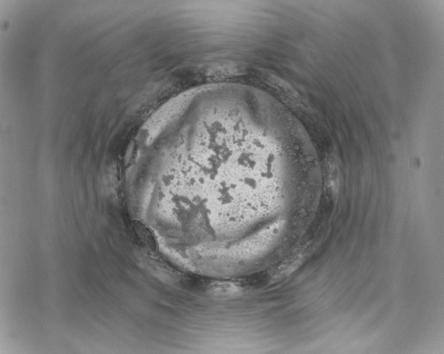 X0000072950519200608111629