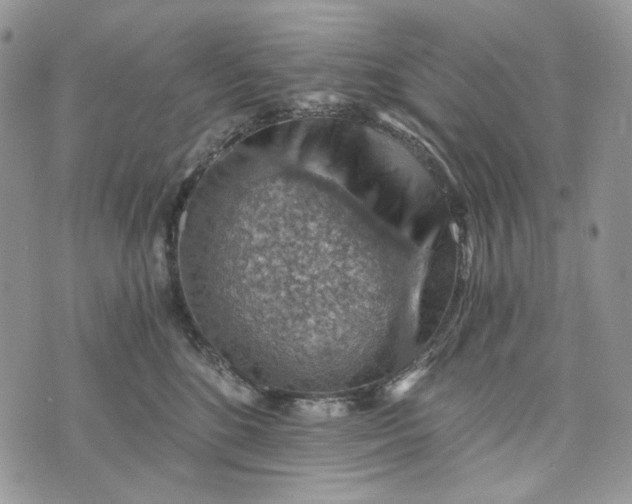 X0000072950520200608111629