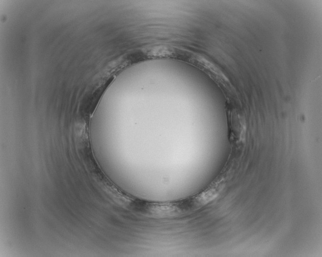 X0000072950521200608111629