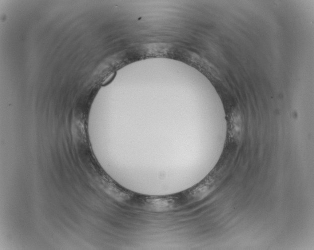 X0000072950522200608111629