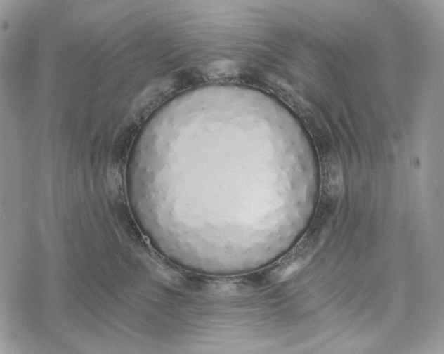 X0000072950523200608111629