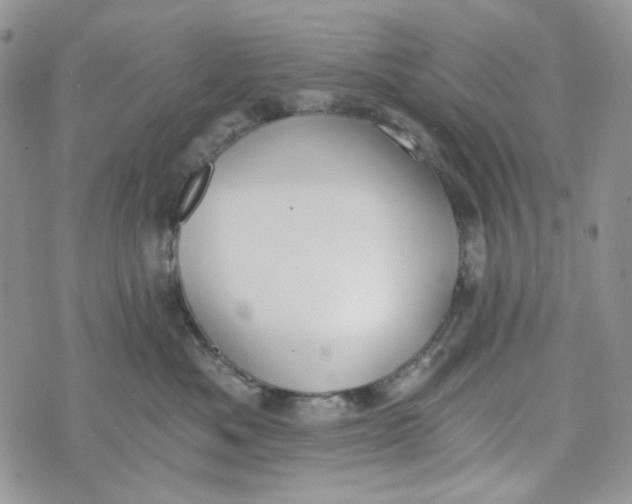 X0000072950525200608111629