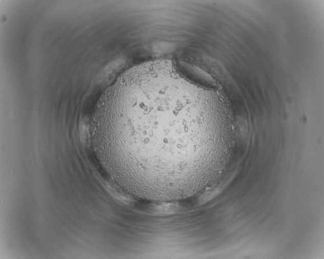 X0000072950527200608111629