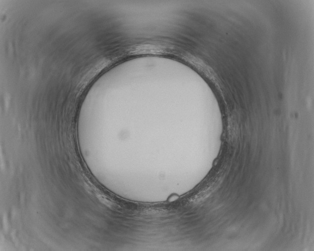 X0000072950529200608111628