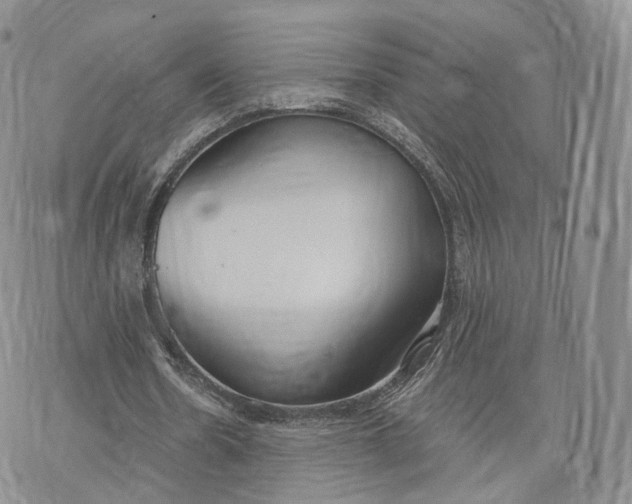 X0000072950530200608111628