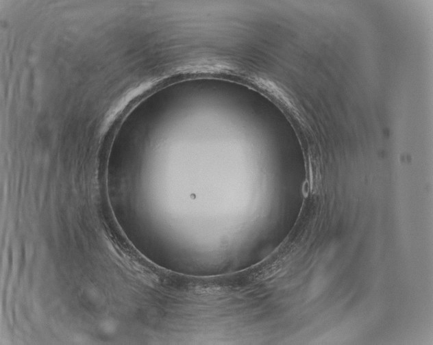 X0000072950531200608111628