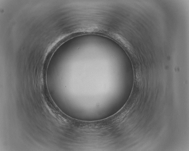 X0000072950532200608111628