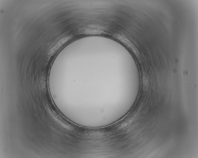 X0000072950533200608111628