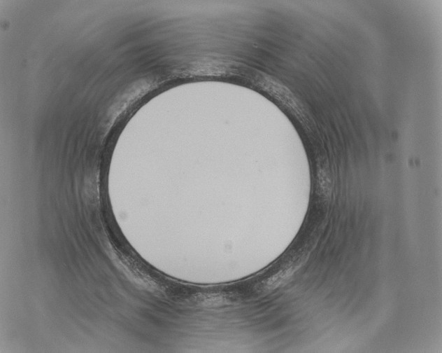 X0000072950534200608111628