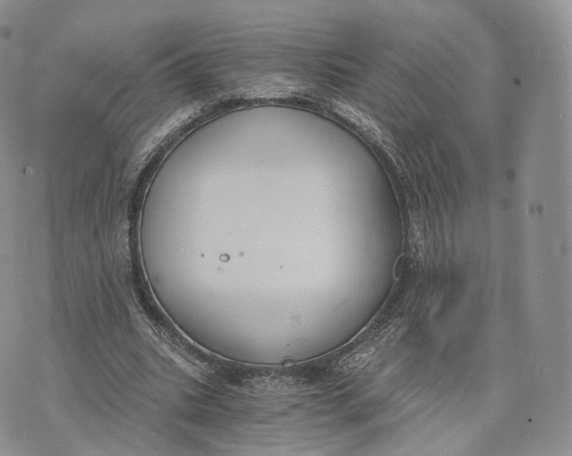 X0000072950535200608111628