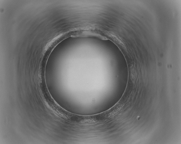 X0000072950536200608111628